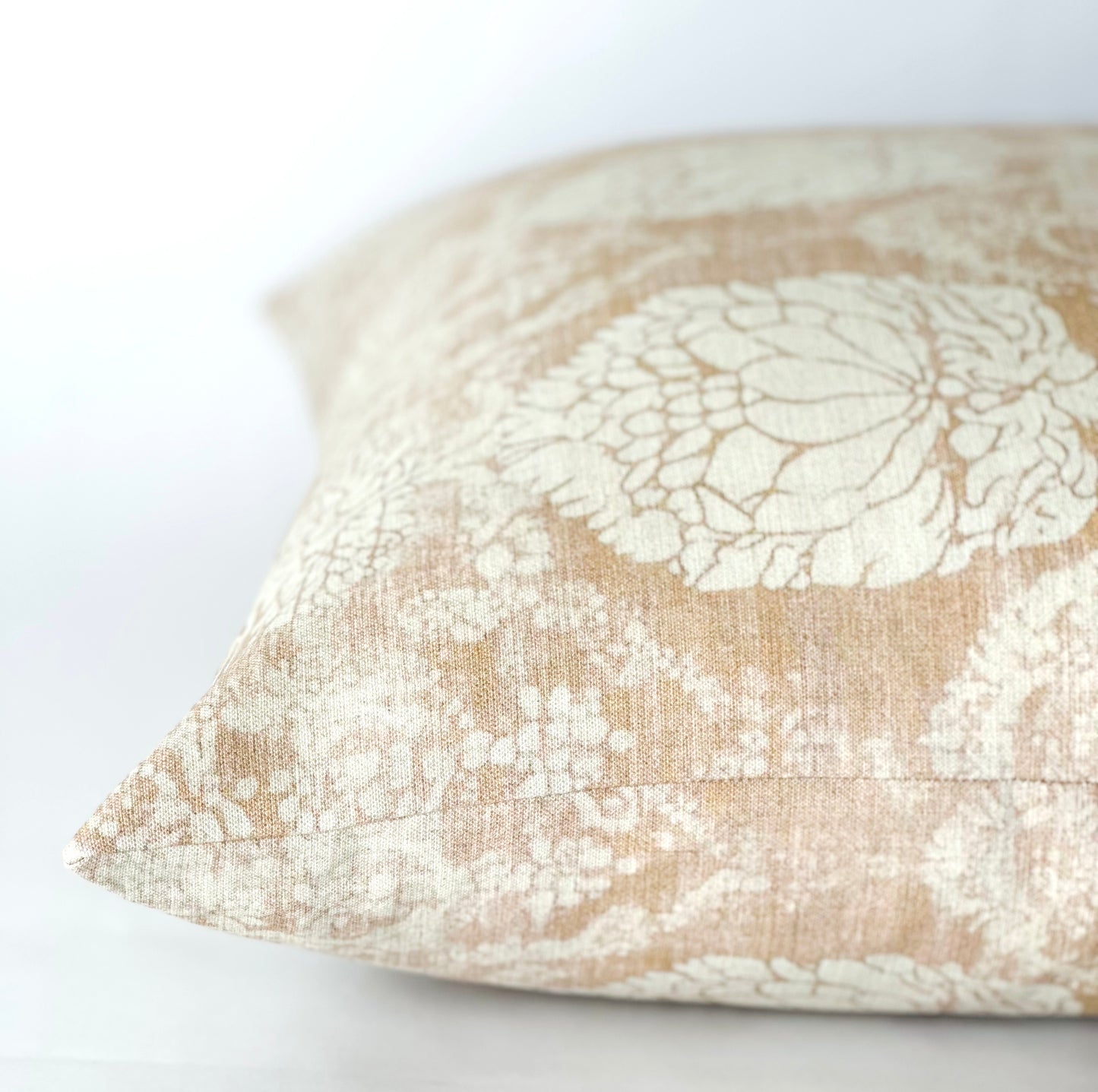 Cornelia - STUDIO SAMPLE