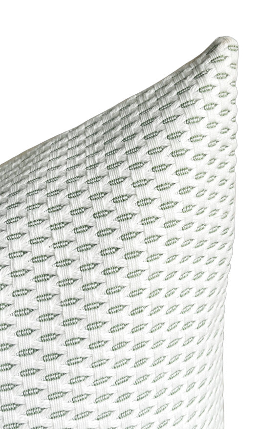 Hutton Fern - STUDIO SAMPLE