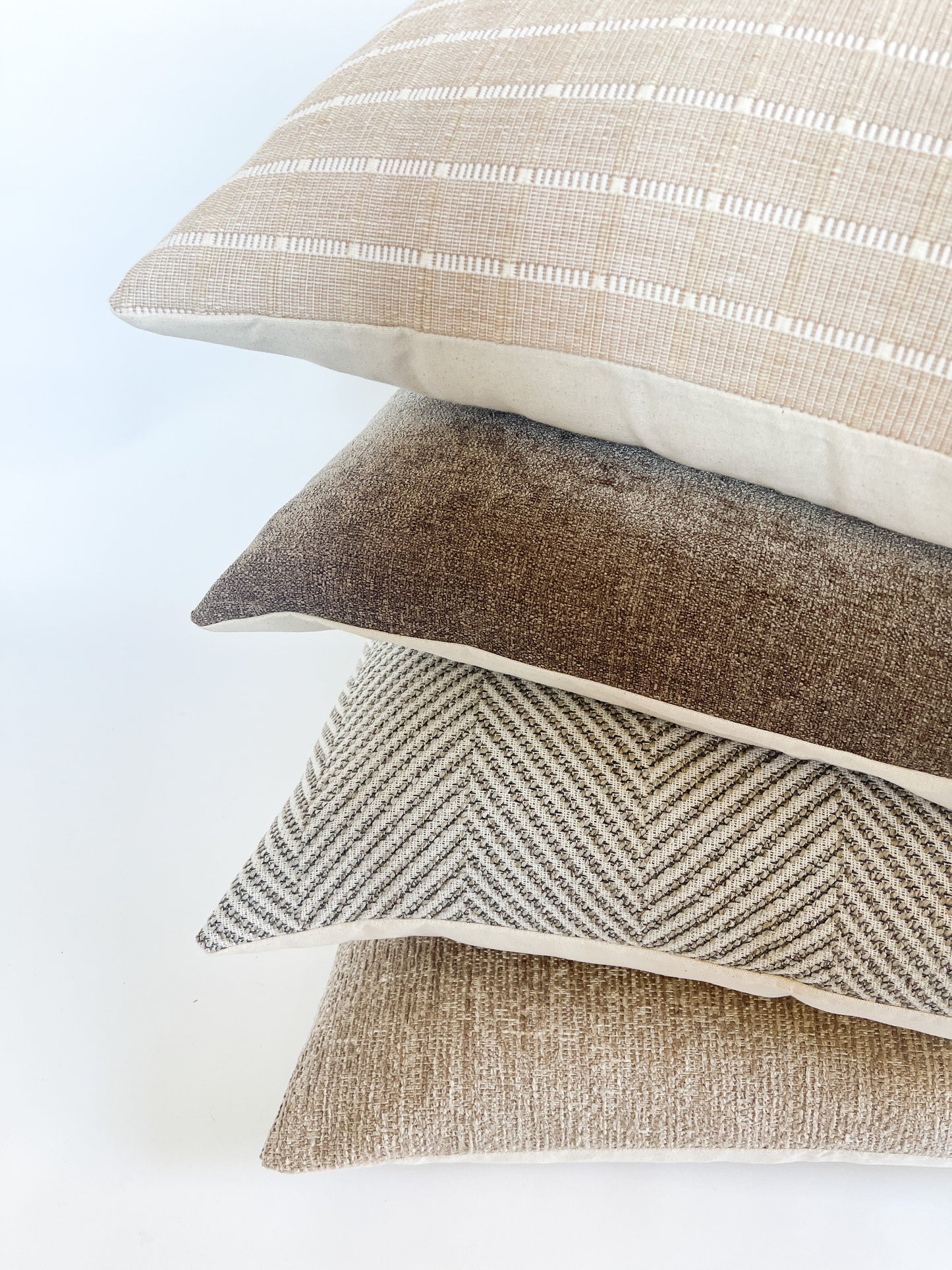 Charlotte - STUDIO SAMPLE